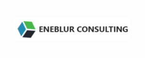 Eneblur Consulting  Top Social Media, Digital Marketing Company Hubli