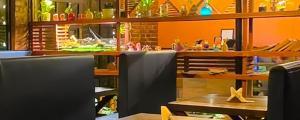 Cafe Cocoon