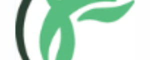 Raels Tax Consultant Services