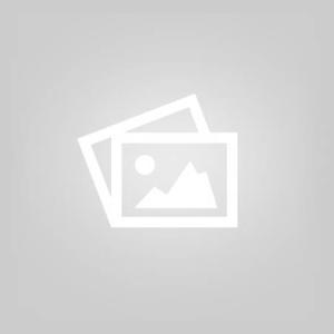 indan search engine