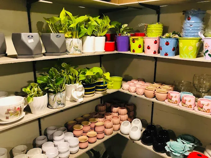 Happy Pots