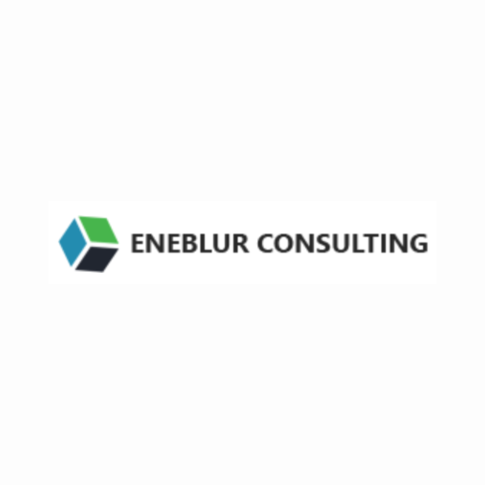 Eneblur Consulting  Top Social Media, Digital Marketing Company Hubli