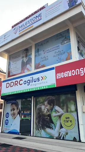 MILESTONE STUDY ABROAD