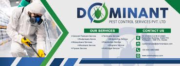 Dominant Pest Control Services Pvt Ltd