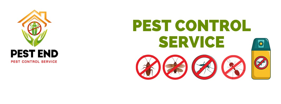 Pest End Pest Control Service