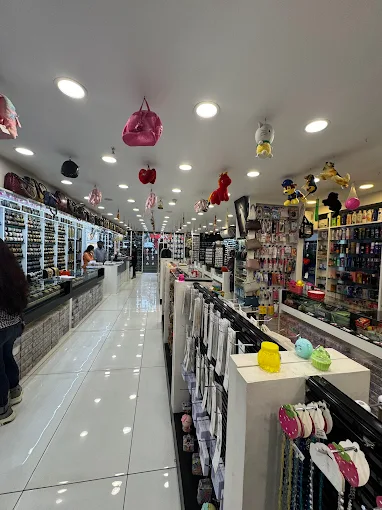 Alphonsa Ladies Collections