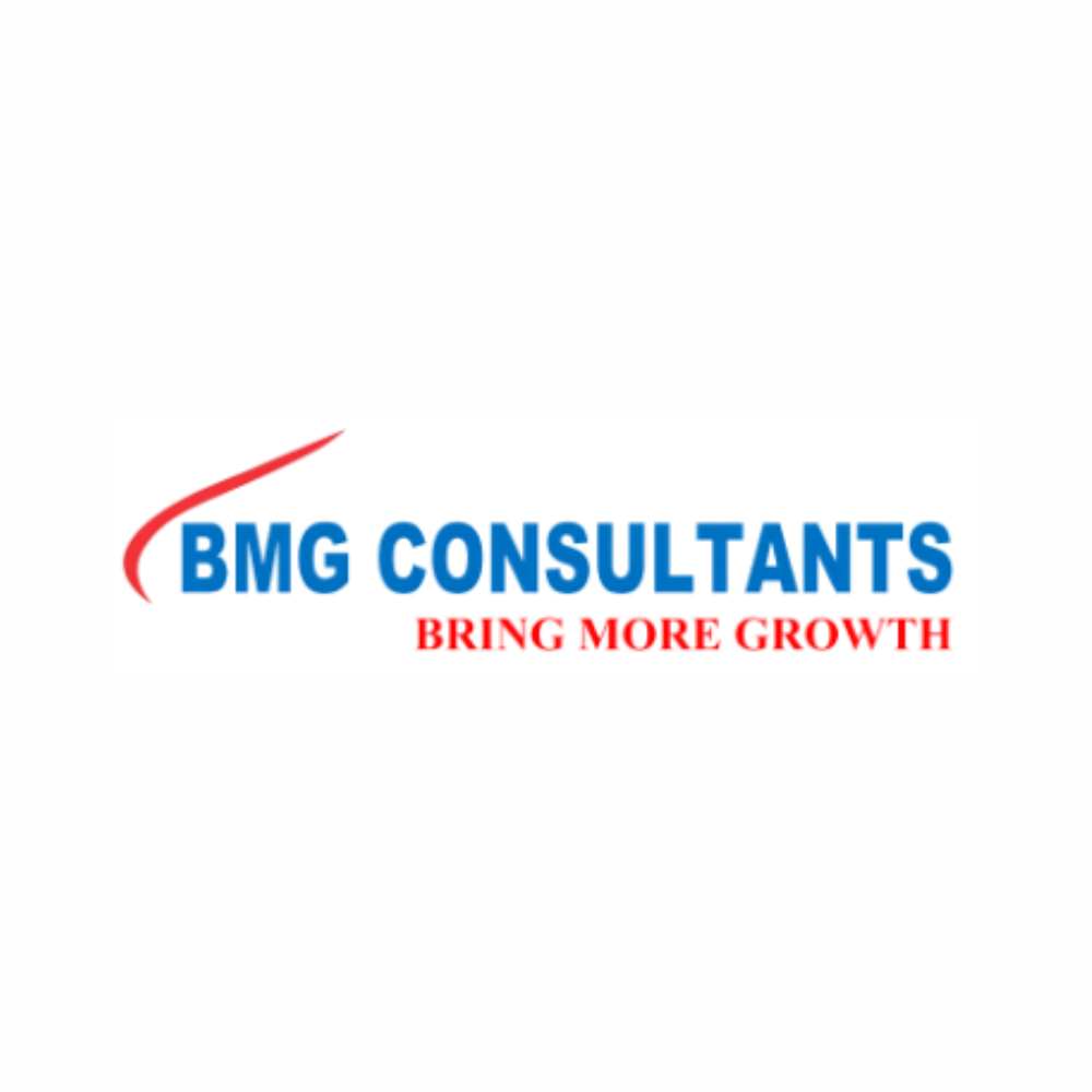 BMG CONSULTANTS
