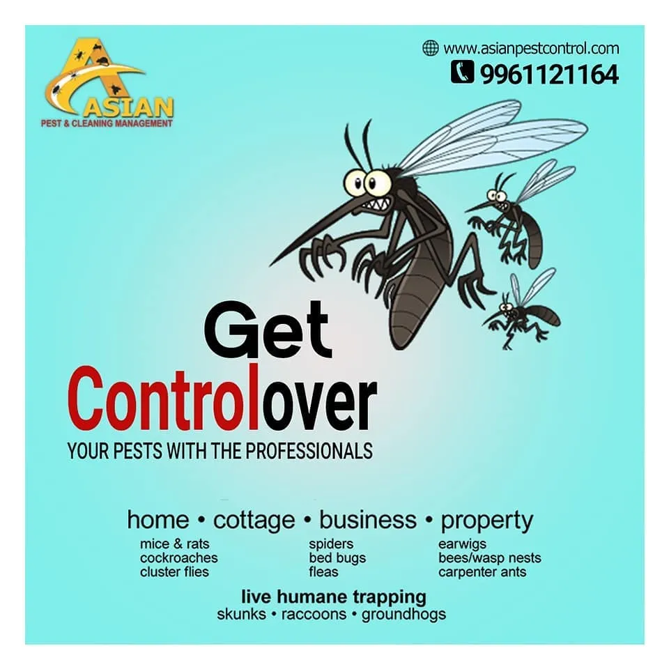 Asian Pest and Cleaning Management