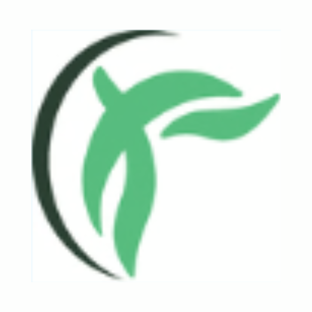 Raels Tax Consultant Services