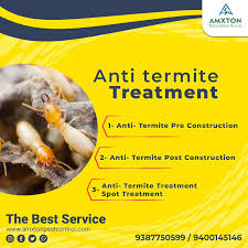 Amxton Pest Control Pvt Ltd
