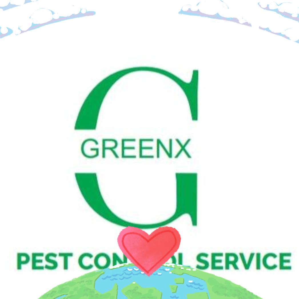 Greenx Pest Control And Bird Netting Solution