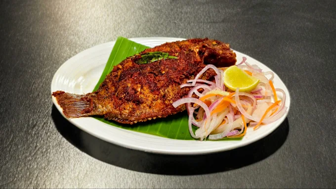 Ameer's Spoon - Multi Cuisine , MG Road